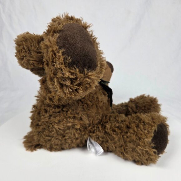 Junior Ranger Bear 13" Aurora NWT - Picture 5 of 7